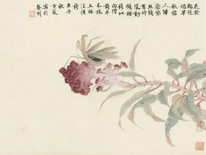 《篱落秋酣图》